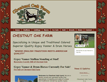 Tablet Screenshot of chestnutoakgypsydrums.com